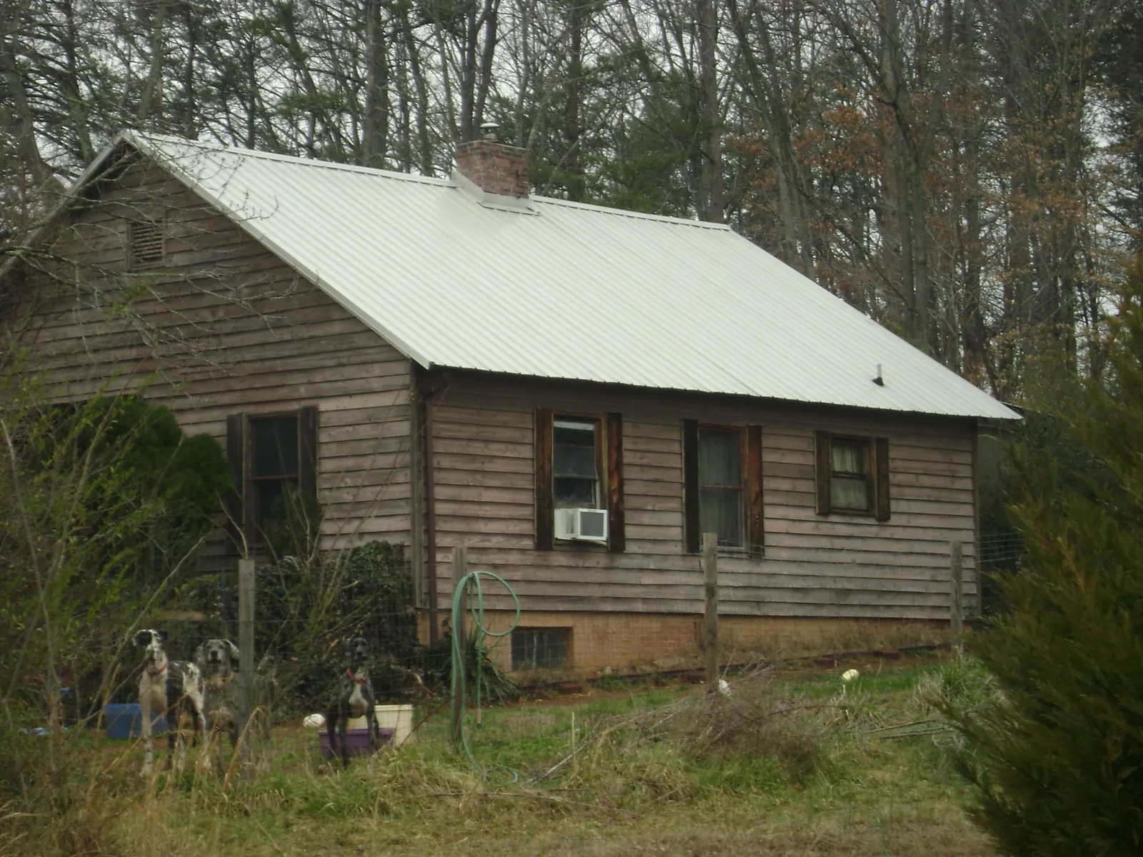 White metal roof on an old wood sided farmhouse, from a Asphalt Shingle Roof Repair job in Scott